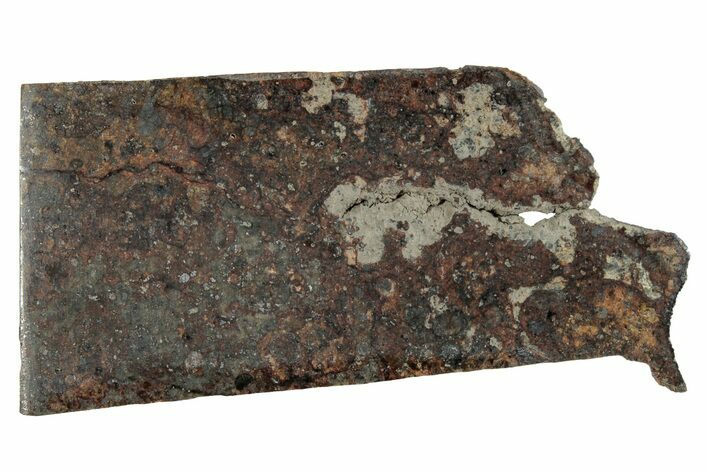 Holbrook Chondrite Meteorite Fragment ( g) - Arizona #280785